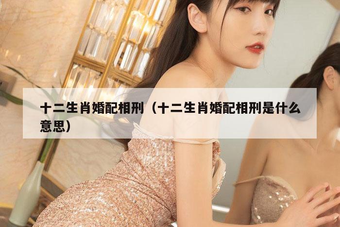 十二生肖婚配相刑（十二生肖婚配相刑是什么意思）