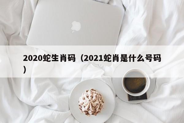 2020蛇生肖码（2021蛇肖是什么号码）