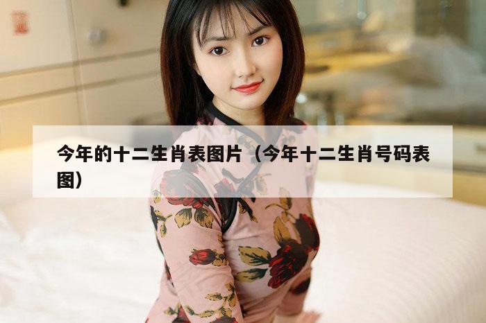 今年的十二生肖表图片（今年十二生肖号码表图）