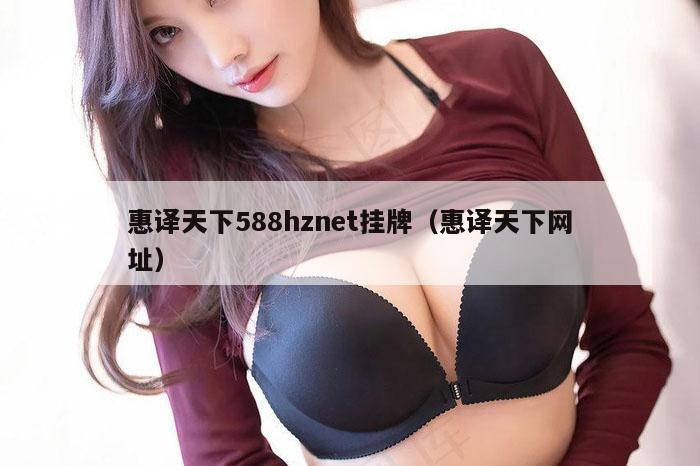 惠译天下588hznet挂牌（惠译天下网址）