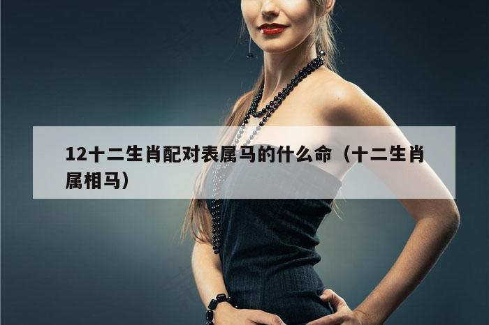 12十二生肖配对表属马的什么命（十二生肖属相马）